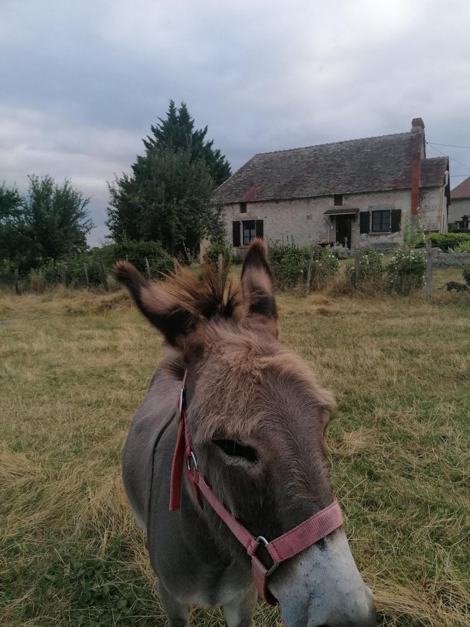 Willa Charmante Maison, Calme Et Nature A La Roche Posay Zewnętrze zdjęcie