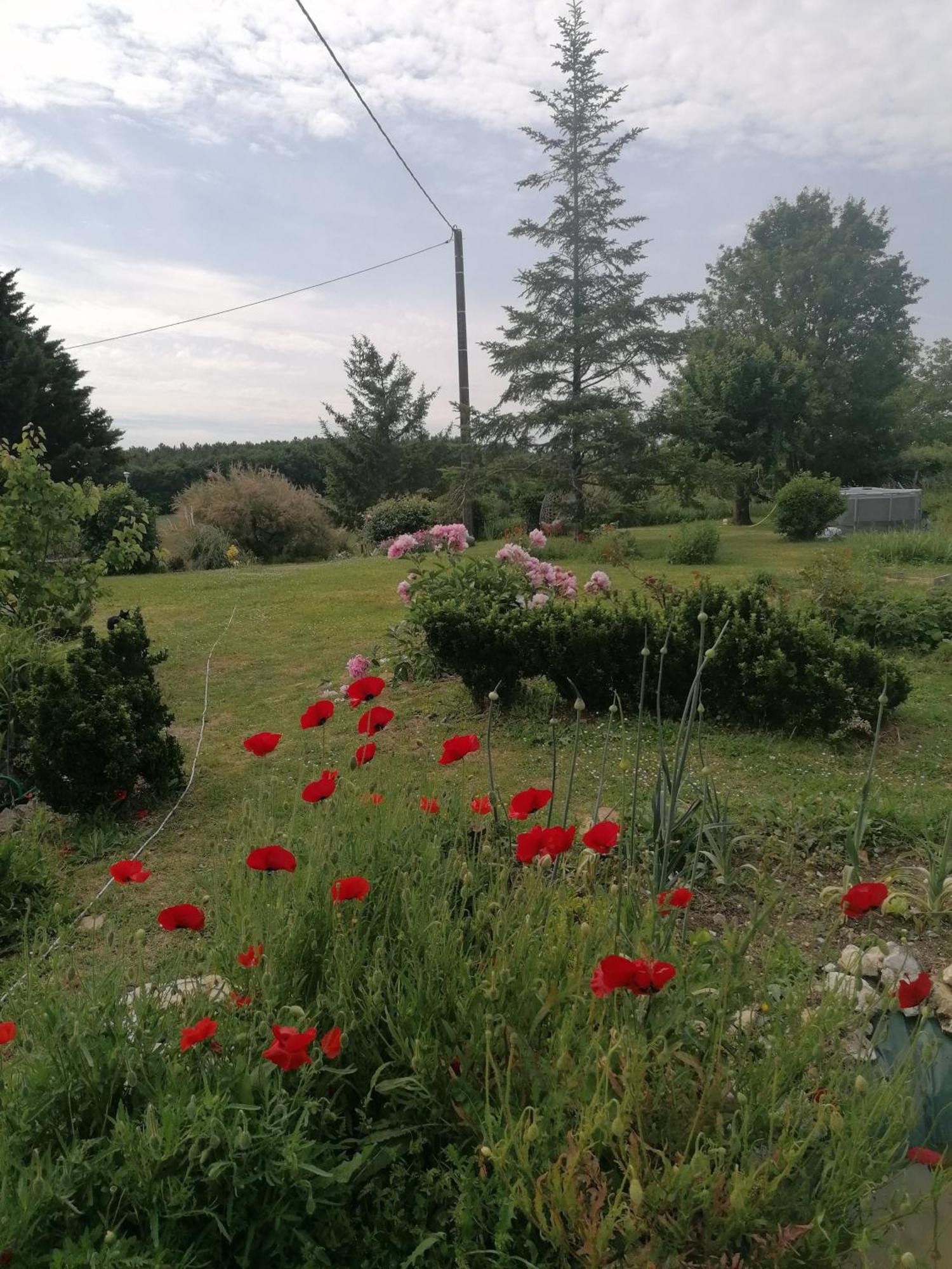 Charmante Maison, Calme Et Nature A La Roche Posay Zewnętrze zdjęcie