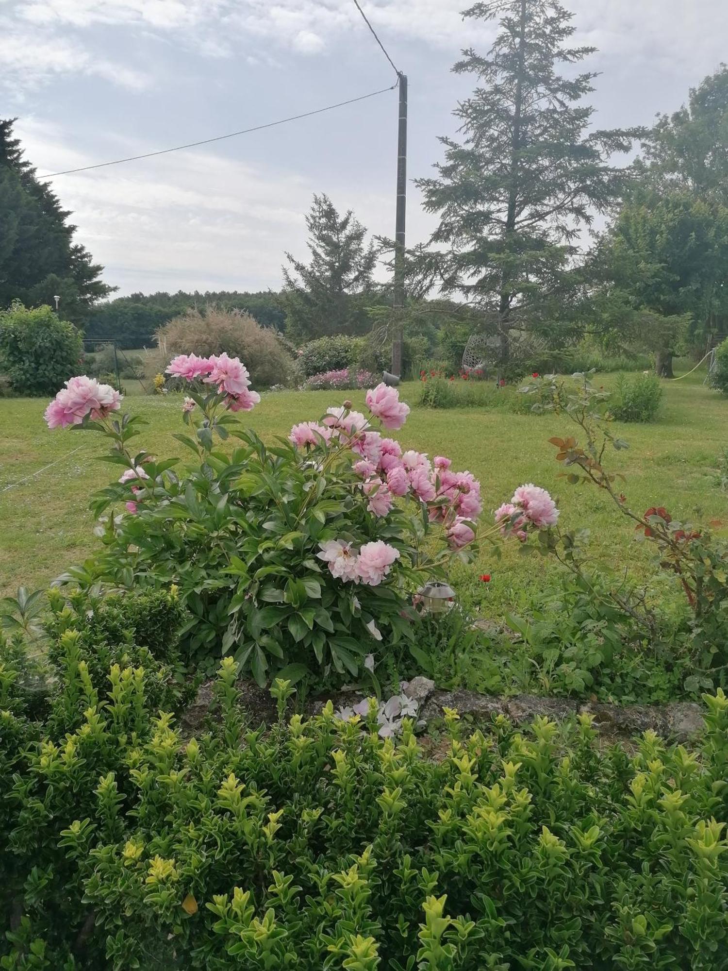 Charmante Maison, Calme Et Nature A La Roche Posay Zewnętrze zdjęcie