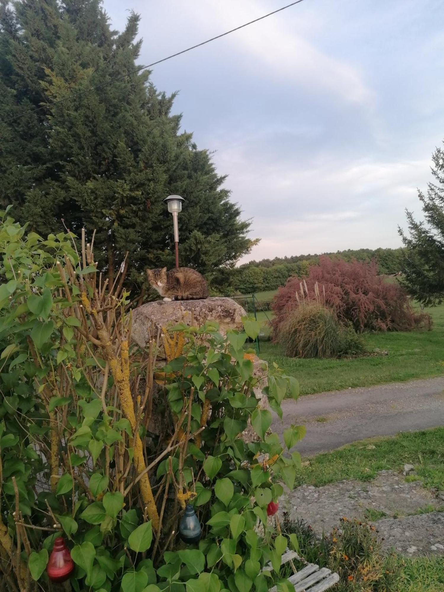 Charmante Maison, Calme Et Nature A La Roche Posay Zewnętrze zdjęcie