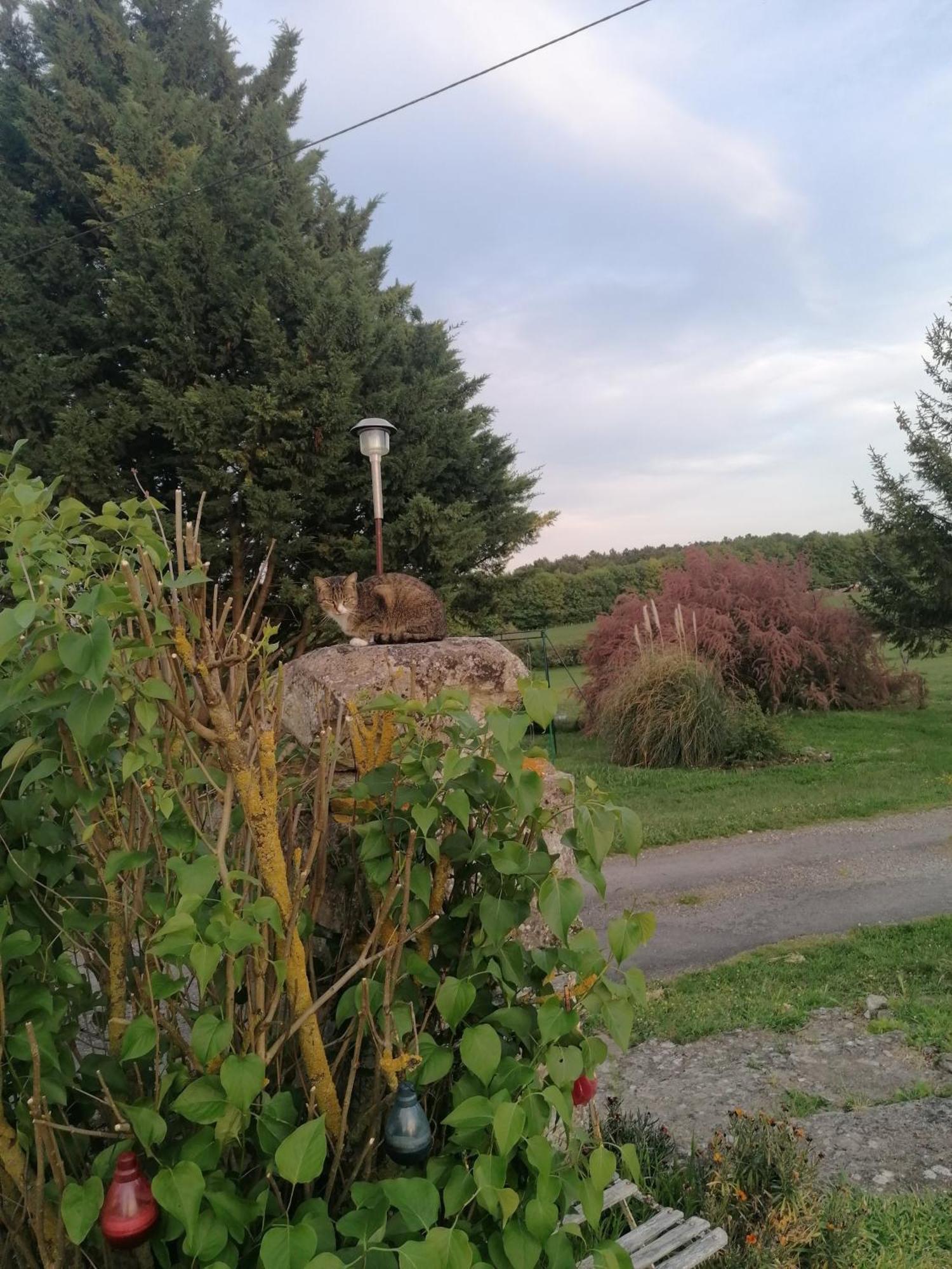 Willa Charmante Maison, Calme Et Nature A La Roche Posay Zewnętrze zdjęcie